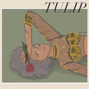 Tulip 🌷